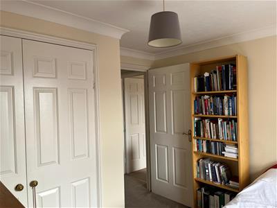 Picture 7